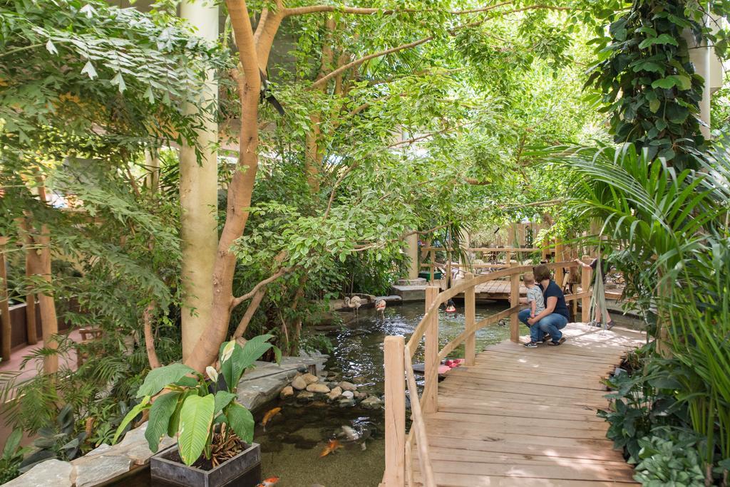 Center Parcs Port Zelande Beach Ouddorp Eksteriør bilde