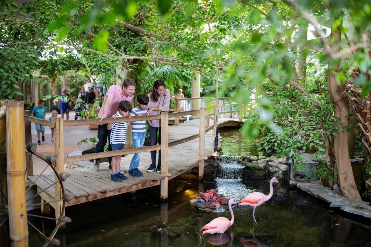 Center Parcs Port Zelande Beach Ouddorp Eksteriør bilde